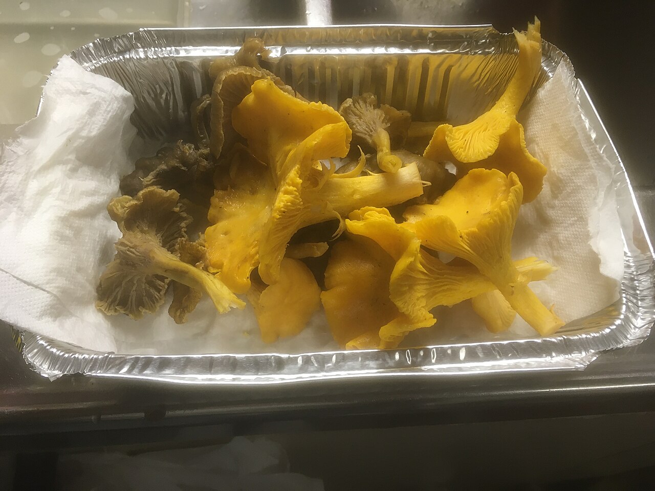 Yellowfoot Chanterelle showing full fruiting body